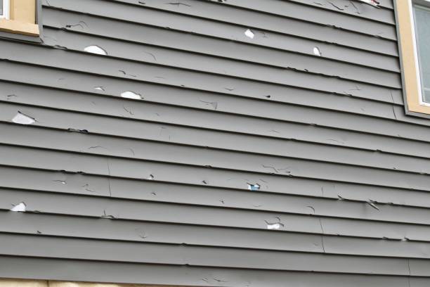 Trusted West Lake Hills, TX Siding Installation & Repair Experts